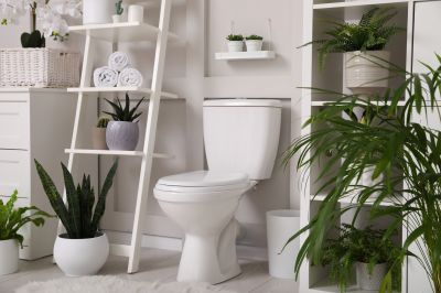 Broken Toilet Repair in Columbus, OH